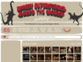 jayjayburridge.com