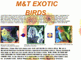 mandtexoticbirds.com