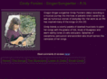 cindyforslev.com