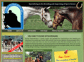 equineextraordinaire.com
