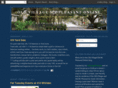 oldvillageonline.org