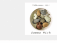 sannawijk.com