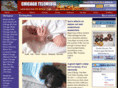 chicagotelemedia.com