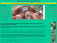 orangutanadventures.com