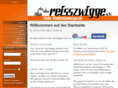 reisszwigge.com