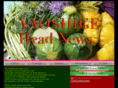 yaoshige.com