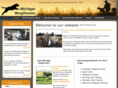 afternoonpheasanthunting.com