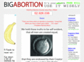 bigabortion.com