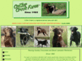 crittercreeklabradors.com