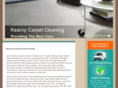 kearnycarpetcleaners.com