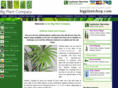 bigplantshop.co.uk