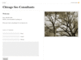 chicagoseoconsultants.com