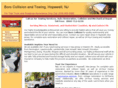 borotowingandcollision.com