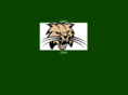 byronbobcats.com