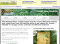 cocommayamedicine.com