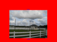 horseboardingswflorida.com