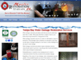 waterdamagerestorationtpa.com