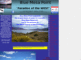 bluemesapoint.com