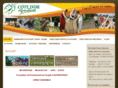 cotedor-aventures.com