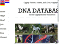 gypsyhorse-dna.com