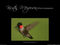 kirstinmeyersonphotography.com