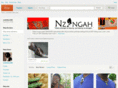 nzingah.info