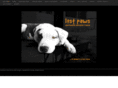 thelostpaws.org