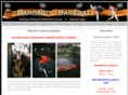 baronesbaseball.com