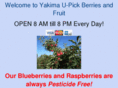 yakimablueberries.com