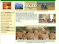 africagameviewsafaris.com