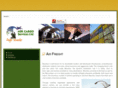msrcargo.info