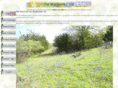 ourbluebonnethill.com