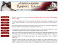 associazioneragdoll.com