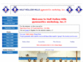 halfhollowhillsgymnastics.com