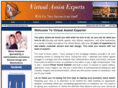virtualassistexpert.com