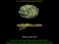 gokauai.com