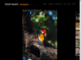 andwild.com