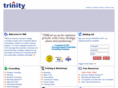 bizaudit.com