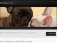 bulldogpercasa.com