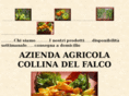 collinadelfalcocarmignano.com