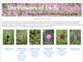 corfuflowers.com