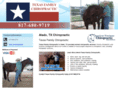equinechiropractorftworth.com