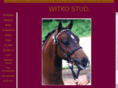 witkostud.co.uk