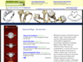 ringsdiamond.net