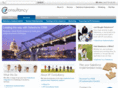 sfconsultancy.com