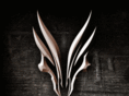 djent.org