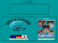 dtotaekwondo.com