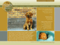 henrycountyanimalhospital.com