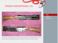 tridententerprisesltd.com