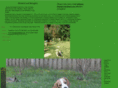 brantwoodbeagles.com